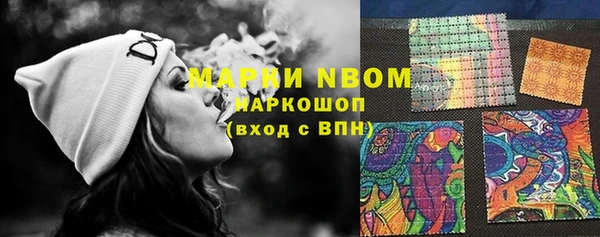 шишки Медногорск