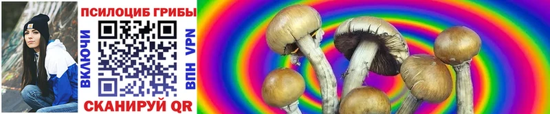 как найти   Игра  Псилоцибиновые грибы Psilocybe 